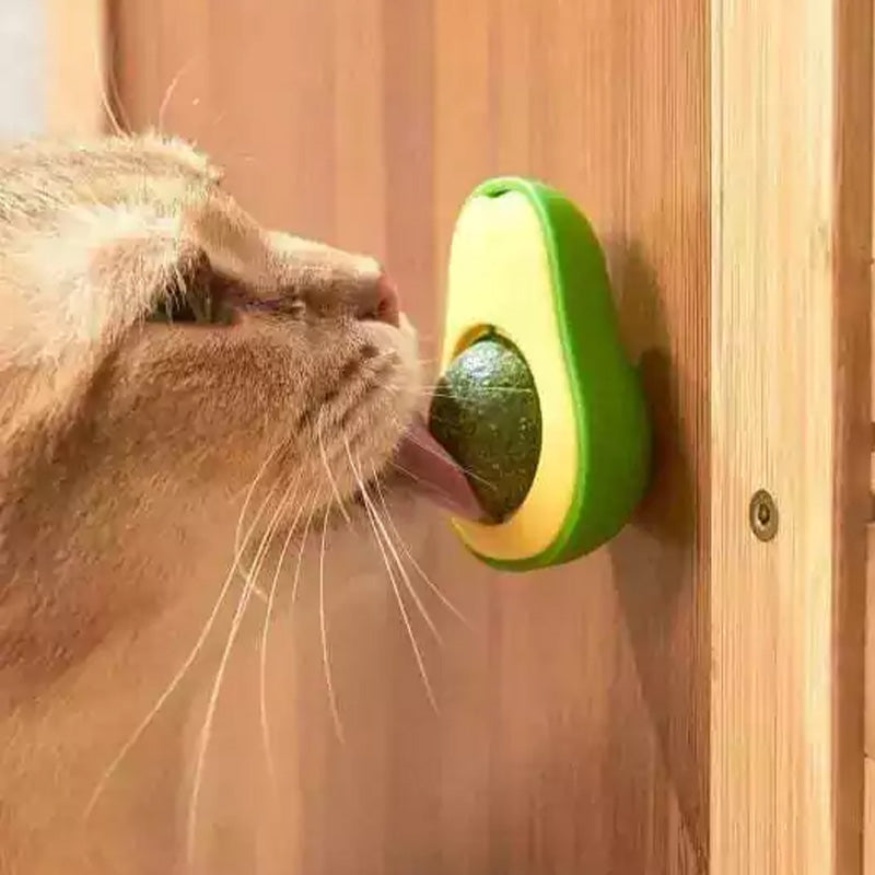 Pack Relax para Gatos (1 Cepillo Quitapelusa + 2 Catniball Hierba Gatera)