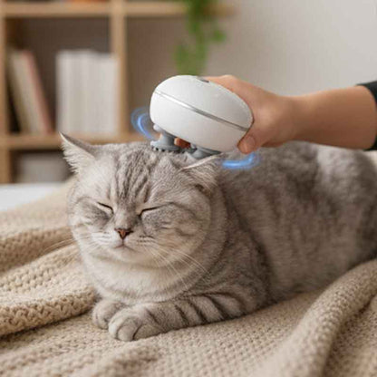 Masajeador Para Mascotas Electrico
